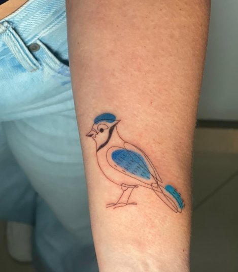 Hand poke blue jay tattoo with thin black outline and blue color wash on a forearm, San Juan Puerto Rico